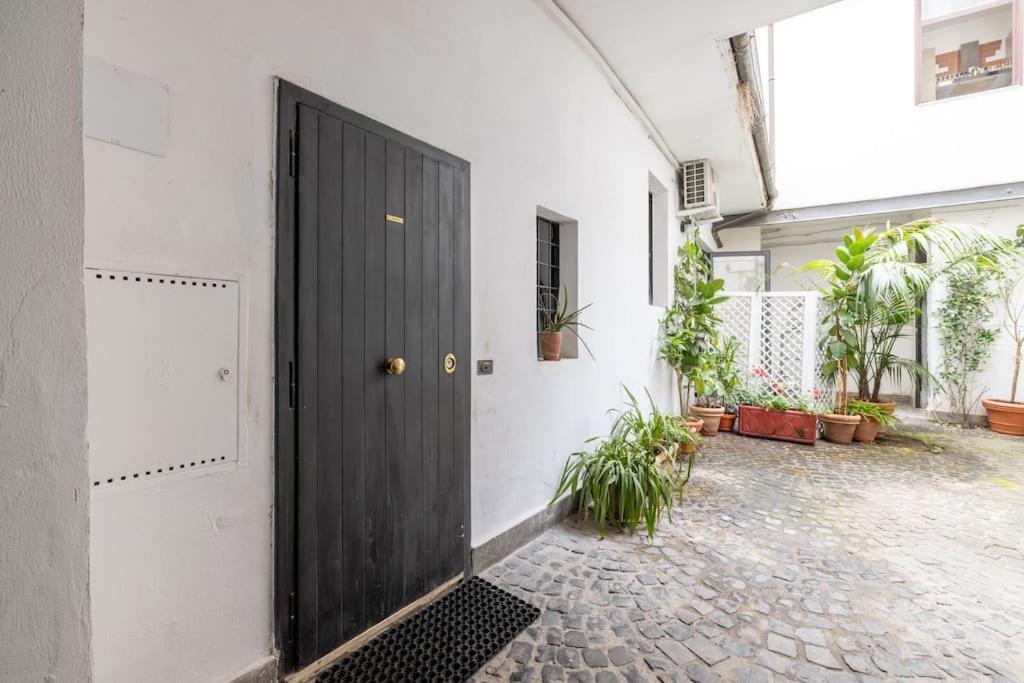 Colosseum Charming Apartamento Roma